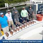 Tampa Bay, Florida Hogfish Private Fish Charters.