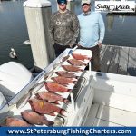 Tampa Bay, Florida Hogfish Private Fish Charters.