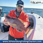 Tampa Bay, Florida Hogfish Private Fish Charters.