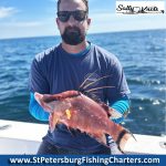 Tampa Bay, Florida Hogfish Private Fish Charters.